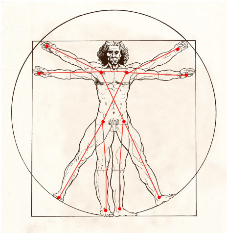 vitruvian3.jpg