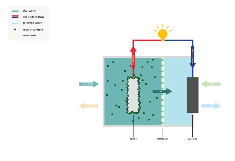 microbialfuelcell.jpeg