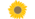 Sunflower from Mediawiki logo.svg