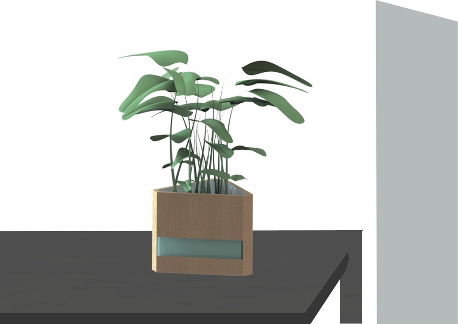 Plant on your desk