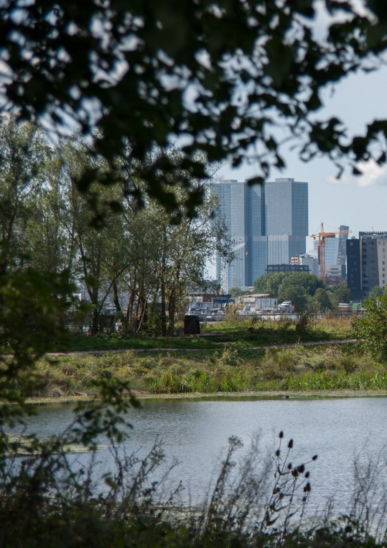 240px \ Eiland van Brienenoord