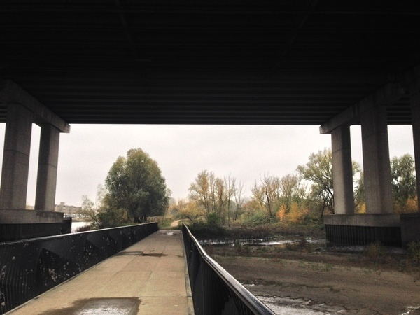 Under the van Brienenoord bridge