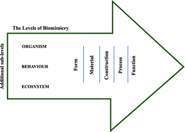 3 levels of biomimicry