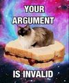 Cat argument.jpg